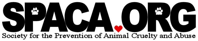 SPACA.ORG